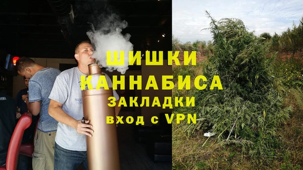 2c-b Костерёво