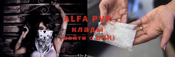 спиды Корсаков