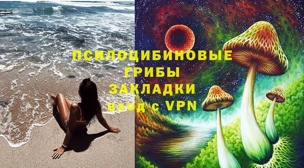 спиды Корсаков